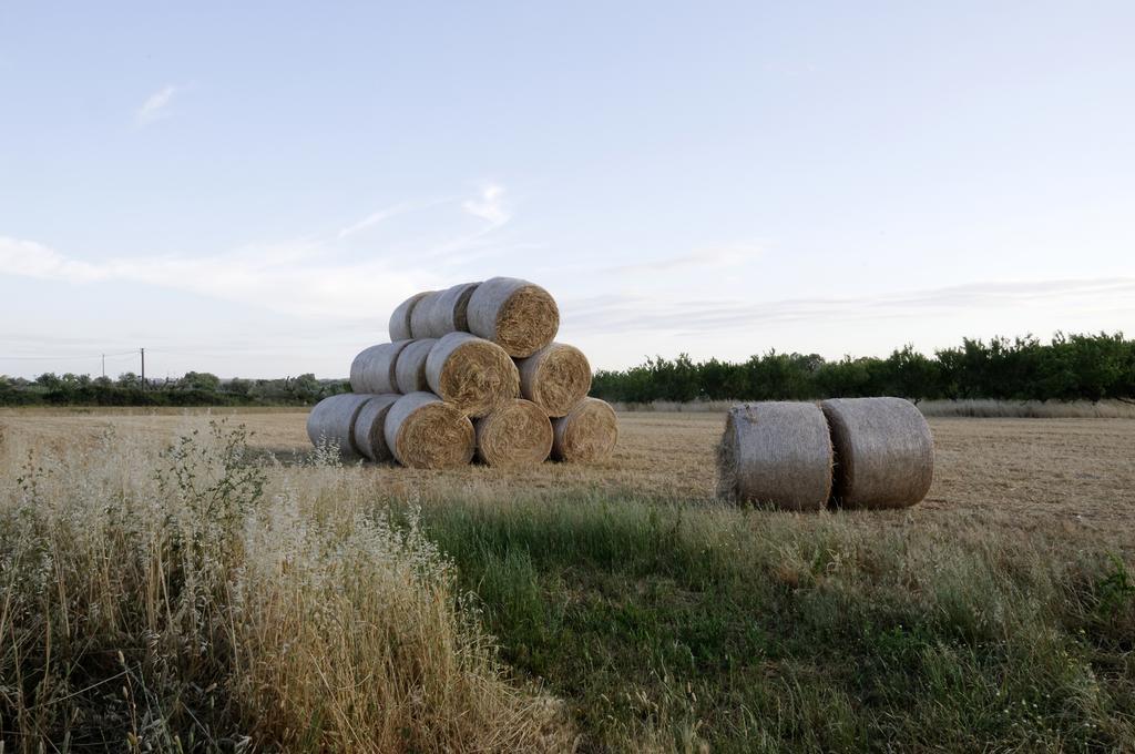 Agrimat Salento Sas Villa Alezio Exterior foto