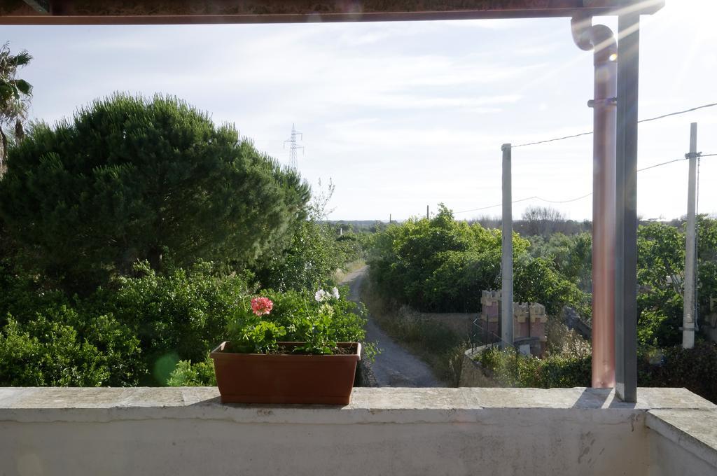 Agrimat Salento Sas Villa Alezio Exterior foto