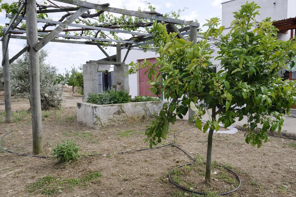 Agrimat Salento Sas Villa Alezio Exterior foto